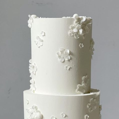 Olga Pysko on Instagram: "Delicate minimal beauty 🤍   #olgapyskocakes #weddingcake #delicate #meticulous #cakeart #florals #twotiercake #love #seattlecakes #cakesofinstagram" Wedding Cakes With Buttercream Flowers, Petite Wedding Cake, Wedding Cake With Icing Flowers, Mini White Cake, Clean Wedding Cake, Wedding Cake Minimal, Single Layer Wedding Cake, Minimal Wedding Cake, White Floral Wedding Cake