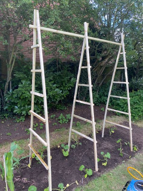 Pumpkin Trellis, Garden Trellis Designs, Diy Garden Trellis, Pumpkin Garden, Vegetable Garden Planning, Diy Trellis, Vegetable Garden Diy, Garden Decor Projects, Veg Garden