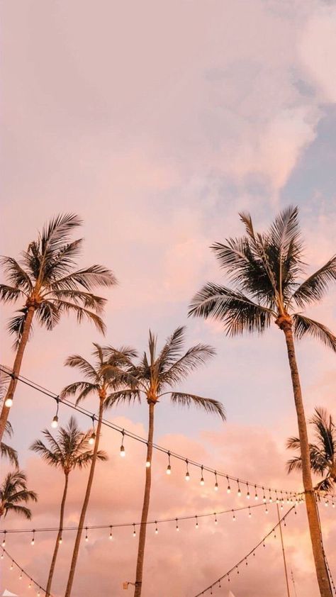 Beach Aesthetic Preppy, Ocean Beach Aesthetic, Clouds Pink, Sunset Palm Trees, Aesthetic View, Pretty Wallpapers Tumblr, Aesthetic Preppy, Cute Fall Wallpaper, Summer Ocean