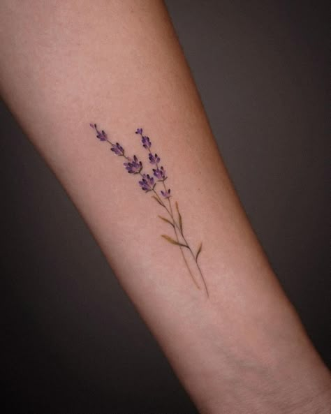 Lavender Tattoo Linework, Collarbone Tattoo Lavender, Lavender Tattoo On Arm, Cute Lavender Tattoos, Tattoo Of Lavender, Tattoo Ideas Female Lavender, Forearm Lavender Tattoo, Purple Lavender Tattoo, Lavender Tattoo With Words