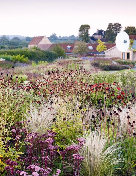 Piet Oudolf Garden, Oudolf Garden, Naturalistic Garden, Dutch Gardens, Piet Oudolf, Prairie Garden, Meadow Garden, Dry Garden, Cottage Garden Design