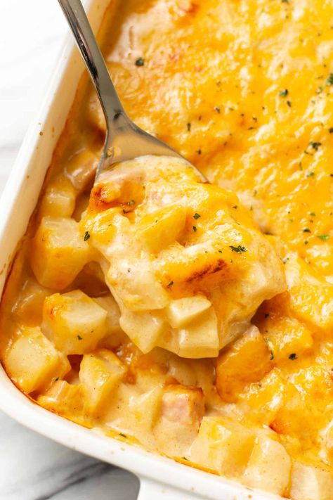 This deliciously cheesy ham and potato casserole recipe is easy to make with leftover ham! It uses pantry seasonings, and the potatoes don't need to be cooked first. Use Up Leftover Ham, Baked Potato Casserole Recipes, Leftover Baked Ham Recipes Dinners, Simple Winter Dinners, Easy Ham And Potato Casserole, Ham Potato Casserole Recipes, Ham Potatoes Casserole, Ham Potato Cheese Casserole, Ham Leftovers Casserole