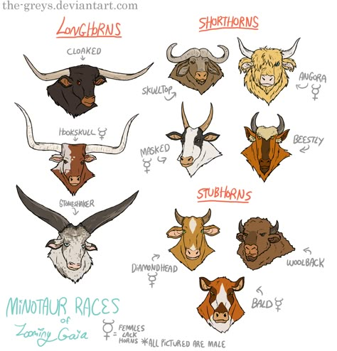 Female Minotaur, Fantasy Races, Dungeons And Dragons Characters, Creature Concept Art, Arte Animal, Creature Concept, Monster Art, Philosophers, Creature Design