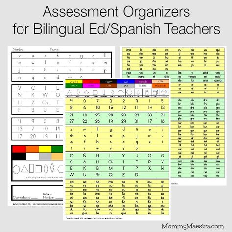 Assessment Organizers for Bilingual Ed Spanish Alphabet Chart, Spanish Assessments, Bilingual Centers Dual Language, Saber And Conocer In Spanish, Kindergarten Assessment, Dual Language Classroom, Comprehensible Input Spanish, Phonics Centers, Bilingual Classroom