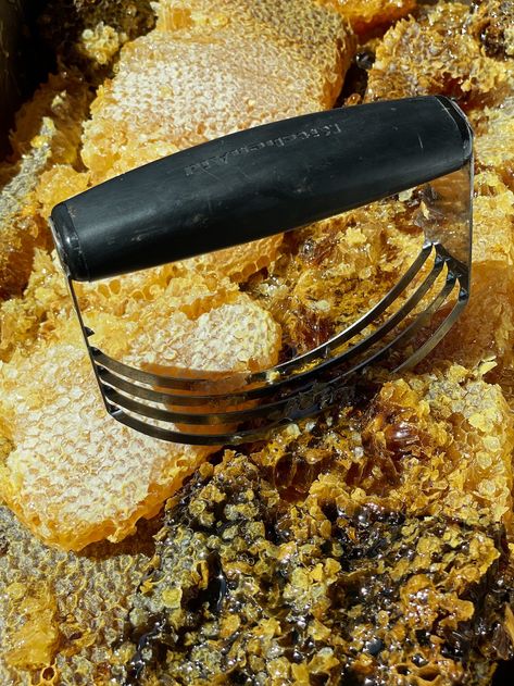 CAN YOU HARVEST HONEY WITHOUT AN EXTRACTOR? - Beekeeping Like A Girl Honey Extractor Diy, Harvesting Honey, Top Bar Hive, Honey Extractor, Homesteading Ideas, Worm Composting, I Love Bees, Wild Honey, Sugar Maple