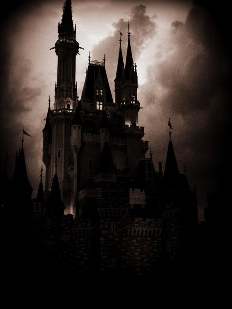 Scary Castle. Would love to visit here. Old Castle, Dark Castle, Gothic Castle, Spooky Places, Haunted Castle, Haunted Places, Gothic Architecture, Dark Places, Gothic Art