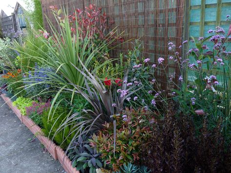 Low Maintenance Plants Outdoor, Small Garden Ideas Low Maintenance, Boarder Plants, Garden Border Plants, Creating A Garden, Plants Uk, Urban Gardens, Evergreen Garden, Garden Border