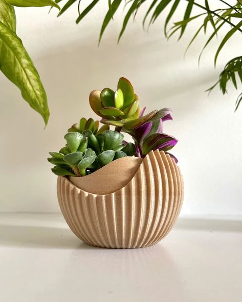 Biomorphic Design, Indoor Plant Wall, Pottery Plant Pot, Plant Pot Design, Ceramics Pottery Vase, Hanging Plant Wall, Plants Home, Planter Gift, Succulents Decor