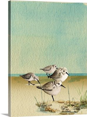 Wild Birds Photography, Beach Birds, Sea Poster, Sea Artwork, Birds Wall Art, Shore Birds, Birds Photography, Painting Landscapes, Bird Wall Art