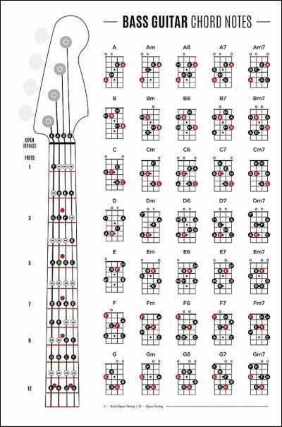 Basic Guitar Chords, Tabs Guitar, Bass Guitar Notes, Bass Guitar Scales, Learn Bass Guitar, Guitar Chords And Scales, Bass Guitar Chords, Chords Guitar, Learn Guitar Chords