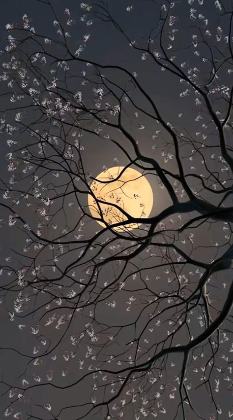 Silent Nature Photography, Real Sky Pics, Minimal Pic, Silent Nature, Real Sky, Portrait Drawing Tips, Moon And Stars Wallpaper, Lunar Beauty, Art Plants