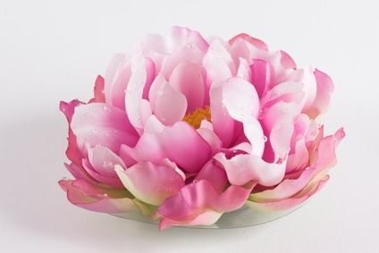 Dyeing Artificial Flowers thumbnail Dye Silk Flowers, Floral Cake Topper, Dye Flowers, Homemade Wedding, Paper Flower Crafts, Silk Plants, Silk Flower Arrangements, Artificial Flower Arrangements, Paper Flowers Diy