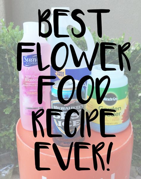 Flower Food Recipe, Homemade Plant Food, Miracle Grow, Flower Food, Nail Swag, Best Diy, Diy Plants, Plant Food, Diy Hacks