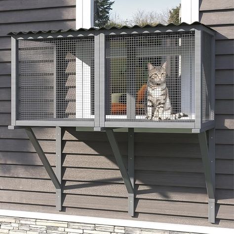 Amazon.com : TIMHAKA Cat Catio, Cat Window Perch for Large Indoor Cats - for Sunbathing, Napping & Overlooking, Wooden Cat Window Hammock for Safely Enjoying The Outdoor Sights Scents and Sounds : Pet Supplies Cat Indoor Outdoor Enclosure, Cat Outdoor Window Enclosure, Window Box For Cats, Outdoor Cat Enclosure Ideas, Cat Kennel Outdoor, Sunroom Cat Room, Portable Catio For Cats, Small Catio Ideas Cat, Small Catio Cats