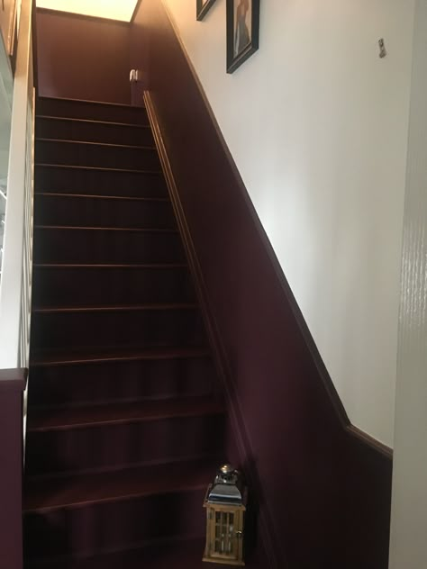 Burgundy Staircase, Staircase Ideas Decoration, Brinjal Farrow And Ball, Dado Rail Hallway, Stairway Trim, Purple Stairs, Basement Refresh, Painted Staircase, 1930s Semi