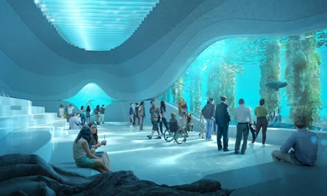 Animal Observatory, Underwater Museum, Aquarium Architecture, Underwater Restaurant, Underwater House, Bawah Air, Yacht Builders, Underwater City, Ocean Pollution