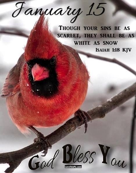 January 15 winter good morning quotes january good morning bird January Days, Words Of Faith, January Quotes, Isaiah 1, Bible Verses Kjv, Good Morning Happy Sunday, Weekday Quotes, The Great I Am, Good Morning God Quotes