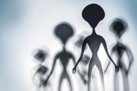 The truth may be out there — but nowhere near as out there as this tale. Space aliens have reached an agreement with the US government to stay mum on the experiments they conduct on Earth — a… Party Expert, Aliens Funny, World Government, Haim, Aliens And Ufos, Space Aliens, Stephen Colbert, Ufo Sighting, Carl Sagan