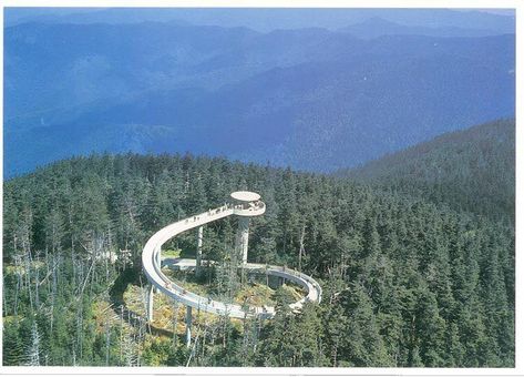 Clingmans Dome Observation Tower: See 7 States Tennessee Camping, Smokey Mountains National Park, Smokey Mountains Vacation, Clingmans Dome, Gatlinburg Vacation, Mountain Vacation, Tennessee Travel, Tennessee Vacation, Family Ideas