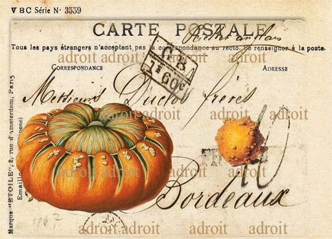 601 French Post Card Warty Pumkins by Louis Adroit | Postcard, Envelope art, Mail art Fruit Crates, Africa Vintage, Elegant Pumpkins, Papel Vintage, Vintage Thanksgiving, Envelope Art, Fall Printables, Antique Postcard, Thanksgiving Cards