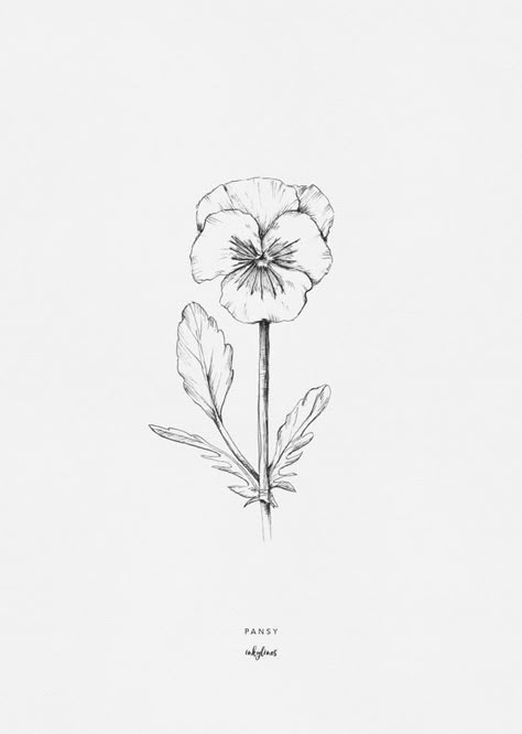 Plants Illustration Art, Pansy Tattoo, Illustration Plants, Plants Illustration, Illustration Nature, Line Art Illustration, Illustration Botanique, Illustration Ideas, Floral Drawing