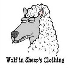 Someone who looks innocent but really isn't. Looks can be deceiving. Looks Can Be Deceiving, Idiomatic Expressions, Sheep Clothing, Sheep, Snoopy, Fictional Characters, Quick Saves, Art