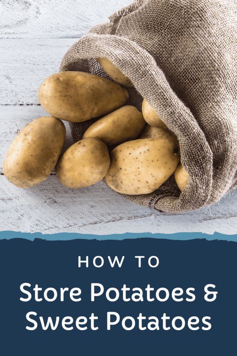 How to store potatoes and sweet potatoes Sweet Potato Storage, Store Sweet Potatoes, Sprouting Potatoes, Potatoes And Sweet Potatoes, Good Sweet Potato Recipe, Storing Food Long Term, Patio Gardening, Potato Storage, Red Skin Potatoes