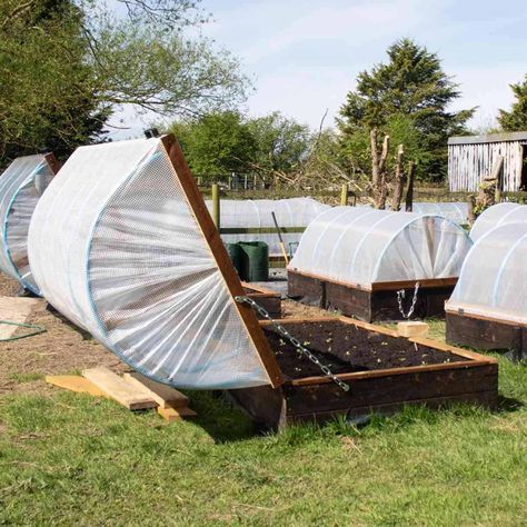 This hinged DIY hoop house is perfect to extend the growing season, protecting vegetable plants from cold weather and pests. Includes video Raised Bed Protection, Hinged Hoop House, Garden Bed Protection Diy, Gardening Beds Raised Diy, Raised Greenhouse Beds, Hinged Garden Bed Cover, Mini Hoop House, Garden Hoops Raised Beds Diy, Diy Hoop Greenhouse