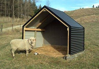 Shelter Dog Photography, Shelter Dog Quotes, Shelter Dogs Adoption, Sheep Shelter, Sheep House, Sheep Pen, Goat Shed, Livestock Shelter, Goat Shelter