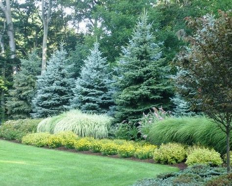 Large Yard Landscaping, Evergreen Landscape, Large Backyard Landscaping, Easy Landscape, Landscape Gardening, No Grass Backyard, Landscaping Trees, Privacy Landscaping, Trees And Flowers