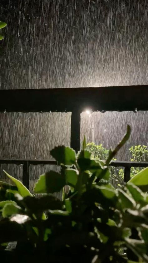 Rain Video, Rainy Day Aesthetic, Rain Garden, Sound Of Rain, Cool Instagram Pictures, Aesthetic Photography Nature, Nature Gif, Beautiful Photos Of Nature, Cool Pictures Of Nature