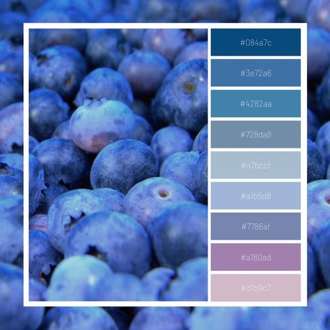 blueberry
palette  
blue  
pink
fruit Blueberry Colour Palette, Darker Color Palette, Blue Purple Green Color Palette, Blueberry Palette, Blueberry Color Palette, Blueberry Character, Blueberry Drawing, Mermay 2024, 2024 Color Palette