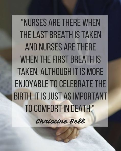 As nurses we have to be able to deal with all situations. This quote is so true Hospice Nurse Quotes, Hospice Quotes, Christine Bell, Hospice Nursing, Nursing Quotes, Nursing Life, Hospice Nurse, Nurse Inspiration, Job Hiring