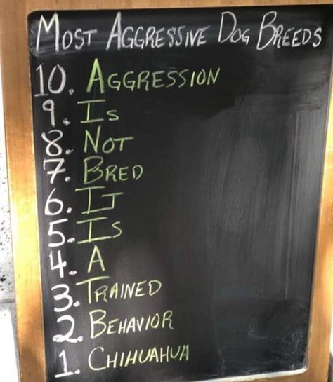 Most Aggressive Dog Breed - 9GAG Aggressive Dog Breeds, Insta Memes, White Raven, Hilarious Pictures, Stranger Things 3, Dog Top, Aggressive Dog, What’s Going On, Funny Meme