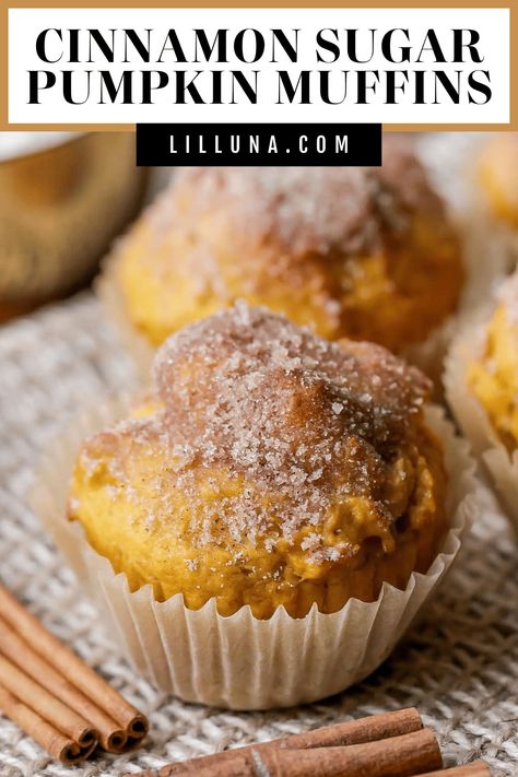 These Cinnamon Sugar Pumpkin Muffins are so moist and full of cinnamon, sugar, and pumpkin. Top them with cinnamon sugar, or with a delicious cinnamon buttercream spread! #cinnamonsugarpumpkinmuffins #pumpkinmuffins #cinnamonsugar #pumpkin #cinnamonmuffins Cinnamon Pumpkin Muffins, Pumpkin Pecan Muffins, Pumpkin Pasta Bake, Banana Cinnamon Muffins, Moist Pumpkin Muffins, Pumpkin Spice Waffles, Cinnamon Buttercream, Pumpkin Dip, Cinnamon Pumpkin