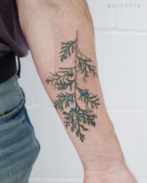 Juniper Bush Tattoo, Juniper Leaf Tattoo, Juniper Tattoo Branches, Evergreen Branch Tattoo, Pine Bough Tattoo, Juniper Berry Tattoo, Juniper Branch Tattoo, Conifer Tattoo, Northwoods Tattoo