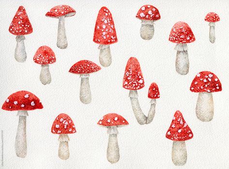 Fly Agaric Drawing, Fly Agaric Mushroom, Illustration Animals, Doodle Wall, Mugs Ideas, Mushroom Paint, Fly Agaric, Mushroom Drawing, Fall Inspiration