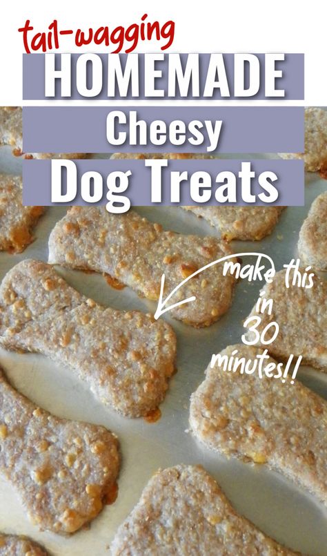 Here's a simple recipe for homemade cheesy dog treats with cheese. This is perfect for training your puppy, gifting, or anytime. Cheesy Dog Treats, Cheese Dog Treats Homemade, Cheddar Cheese Dog Treats, Simple Dog Treats, Cheddar Dog Treats, Cheese Dog Treats, No Bake Dog Treats, Diy Cheese, Homemade Foods