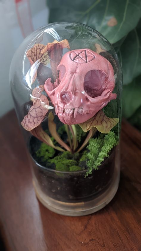 Creating cute gothic terrariums using 3D printing skulls and carnivorous plants 3d Printed Terrarium, Gothic Terrarium, Skull Terrarium, Object Head, Object Heads, Carnivorous Plants, Dark Room, Cabin In The Woods, Skull Art