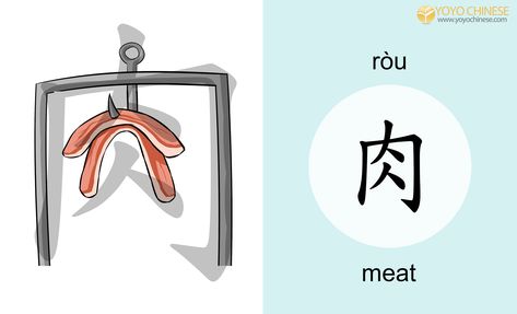 roast meat Mandarin Characters, Chinese Flashcards, Chinese Script, Chinese Alphabet, Roast Meat, Learn Chinese Characters, Bahasa China, Mandarin Lessons, Chinese Language Words