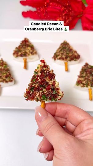 Donut Christmas, Cranberry Brie Bites, Candied Pecan, Brie Cranberry, Cranberry Brie, Brie Bites, Holiday Party Foods, Holiday Eating, Charcuterie Recipes