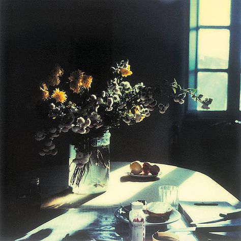 Tarkovsky Polaroids, Andrey Tarkovsky, Andrei Tarkovsky, Polaroid Photography, Photo Polaroid, William Eggleston, Polaroid Pictures, Polaroid Photos, Chernobyl