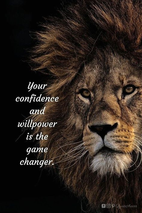 Powerful Quotes Self Confidence, Will Power Wallpaper, Quotes About Willpower, Powerful Morning Quotes, Lion Quotes Inspirational, Willpower Wallpaper, Lion Quotes Inspiration Motivation, Warrior Quotes Inspiration, Game Changer Quotes