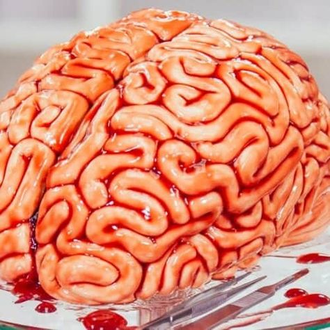 Gross Halloween Foods, Scary Halloween Cakes, Yolanda Gampp, Brain Cake, Scary Halloween Food, Delicious Halloween Treats, How To Cake, Cake Halloween, Spooky Cake