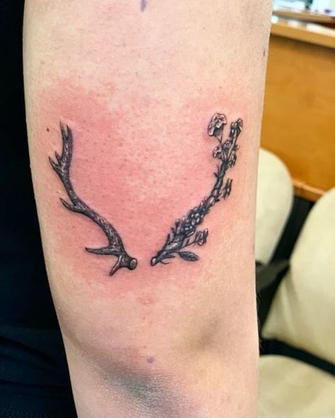 Deer Antler Flower Tattoo, Deer Antler And Flower Tattoo, Antlers Tattoo, Inner Elbow Tattoo, Blackberry Tattoo, Antler Tattoos, Inner Elbow Tattoos, Antler Tattoo, Moose Tattoo