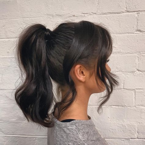 Chloe Morello on Instagram: “My hair last night for the #FENTY party was so cute, I loved it! Hair by @richi_grisillo at @academie_salon ❤️” Tail Hairstyles, Short Spiky Haircuts, Tail Hairstyle, Prom Hair Medium, Hairstyles Theme, Pony Hairstyles, High Ponytail Hairstyles, Wavy Ponytail, Prom Hairstyles For Short Hair