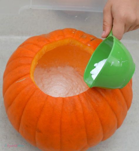 Kids will love watching as chemicals react and fizz over the sides of this pumpkin volcano, a fun and classic science experiment with a fall twist. Fall | Halloween | Pumpkins | Science | STEM Pumpkin Classroom Door, Pumpkin Volcano, Food Science Experiments, Pumpkin Crafts Preschool, Halloween Science Activities, Pumpkin Lessons, Halloween Bats Crafts, Activities For Halloween, Pumpkin Science