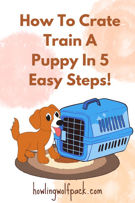 How To Crate Train A Puppy In 5 Easy Steps: Crate training your puppy doesn't need to be overwhelming and can be a breeze with these simple steps. Follow this 'How To Crate Train a Puppy' guide and you'll have a pup who loves their crate in no time! Kennel Training A Puppy, Games For Puppies, Crate Training Puppy Schedule, Puppy Guide, Poodle Training, Puppy Schedule, Crate Training Dog, Crate Train, Paper Train