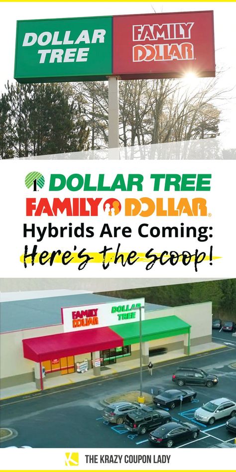 Dollar Tree and Family Dollar hybrid stores are coming! These discount retailers have been part of the same company since 2015, but now they’re starting to share buildings. As rival Dollar General makes big moves with their PopShelf concept, plans for lots of half Dollar Tree, half Family Dollar stores are underway. The Krazy Coupon Lady shares what you need to know. Hobby Lobby Sale Schedule, Dollar General Penny Items, Hobby Lobby Sales, Dollar Tree Gifts, Dollar Tree Haul, Dollar Tree Hacks, Family Dollar, Store Hacks, Best Money Saving Tips