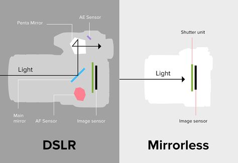 Mirrorless vs DSLR – 18 Main Differences Between Mirrorless and DSLR Cameras Canon Camera Mirrorless, Mirrorless Vs Dslr, Canon Dslr Camera, Canon Cameras, Best Dslr, Dslr Lenses, Reflex Camera, Full Frame Camera, Canon Dslr